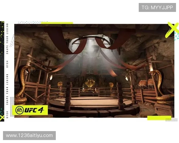 深入解析UFC正规竞彩与PP体育的精彩对决