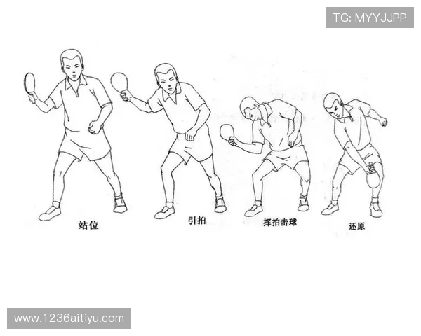 乒乓球比赛的基本要求与参赛注意事项详解